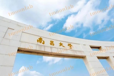 文章附图