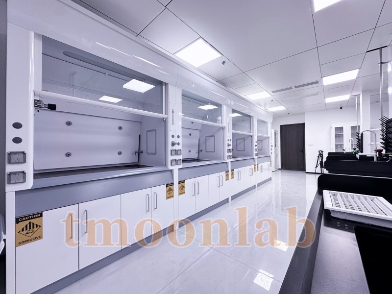tmoonlab