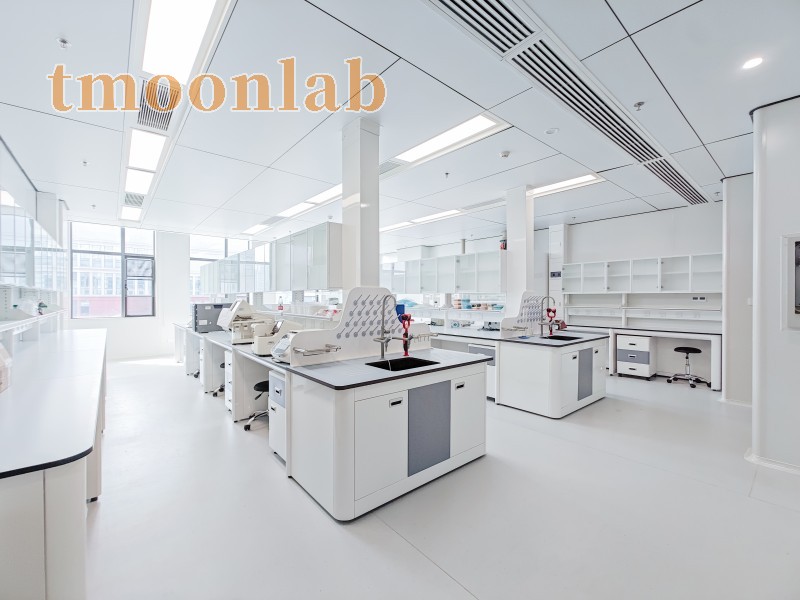 tmoonlab